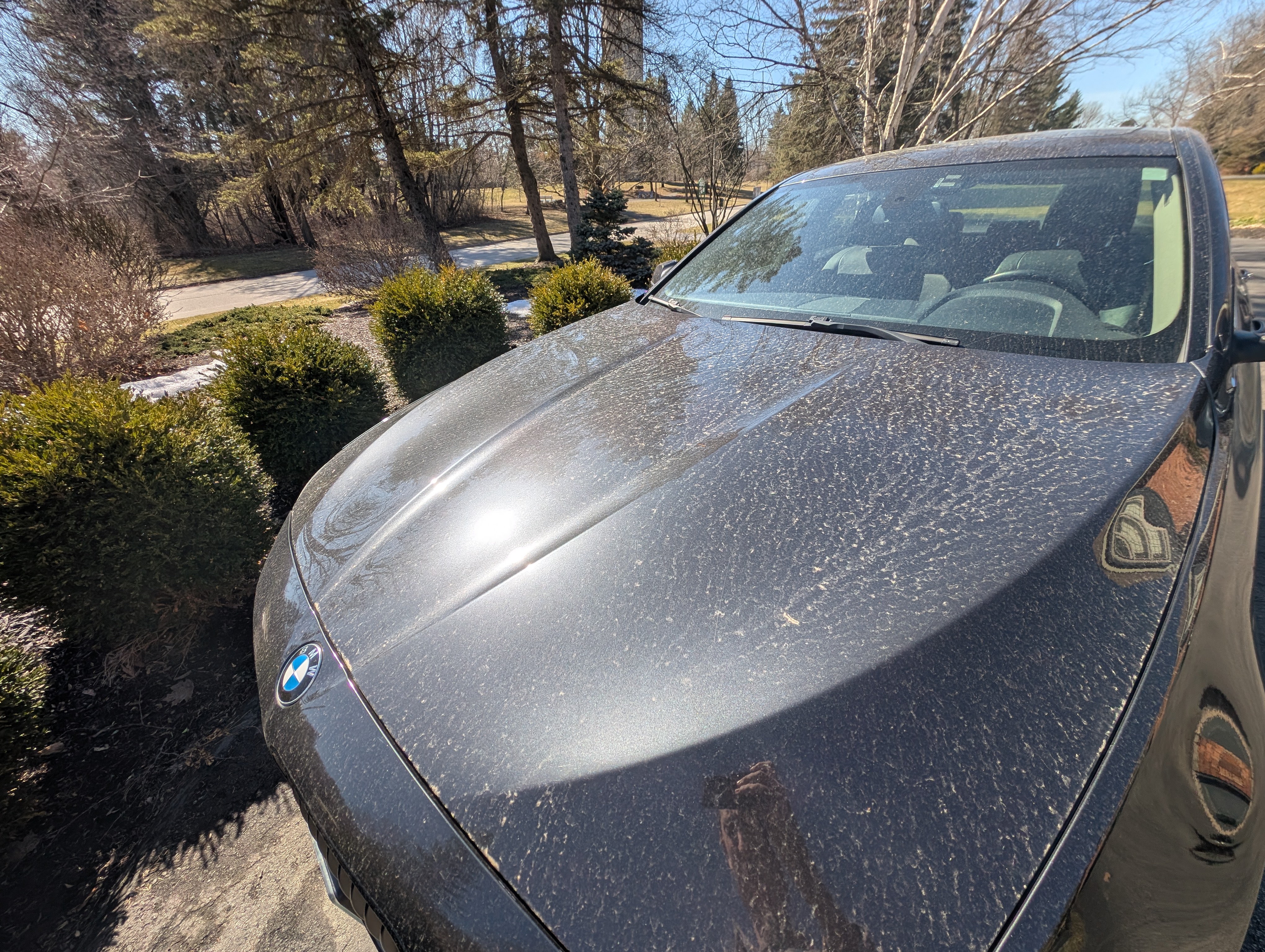 Before Polish and Wax