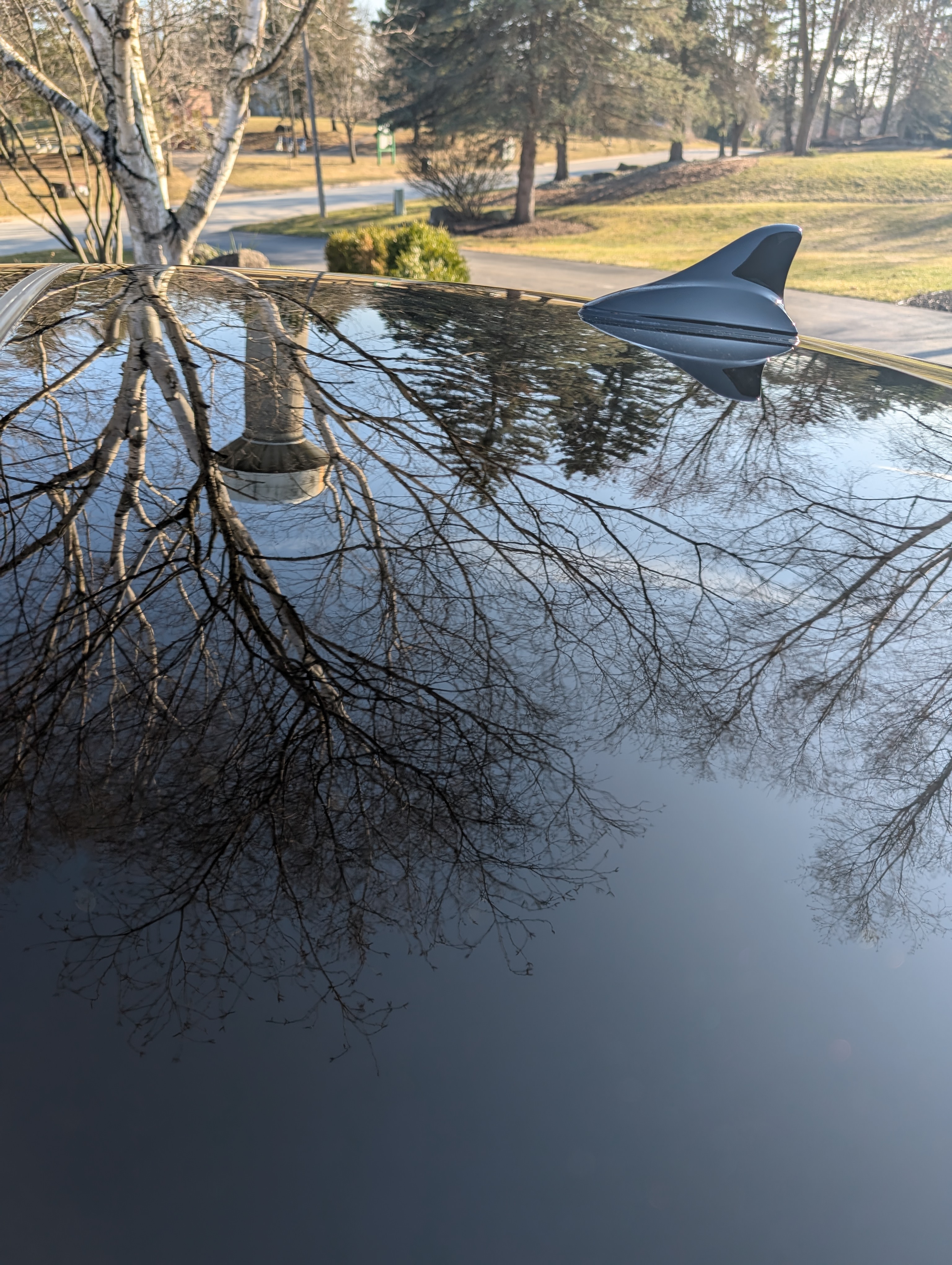 Before Paint Correction